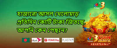 সাপ্তাহিক ভিআইপি ক্যাশব্যাক 💰 promotion